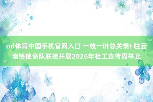 od体育中国手机官网入口 一枝一叶总关情! 驻云澳镇使命队联接开展2026年社工宣传周举止
