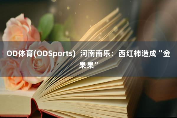OD体育(ODSports)  河南南乐：西红柿造成“金果果”