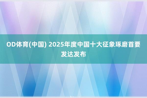 OD体育(中国) 2025年度中国十大征象琢磨首要发达发布