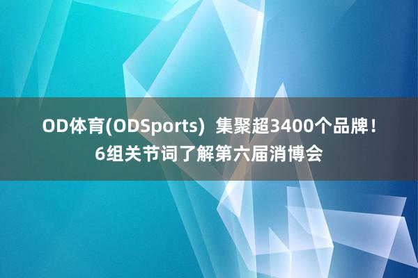 OD体育(ODSports)  集聚超3400个品牌！6组关节词了解第六届消博会