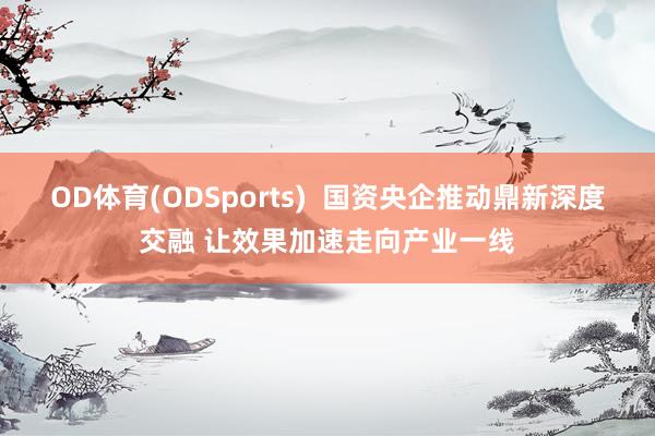 OD体育(ODSports)  国资央企推动鼎新深度交融 让效果加速走向产业一线