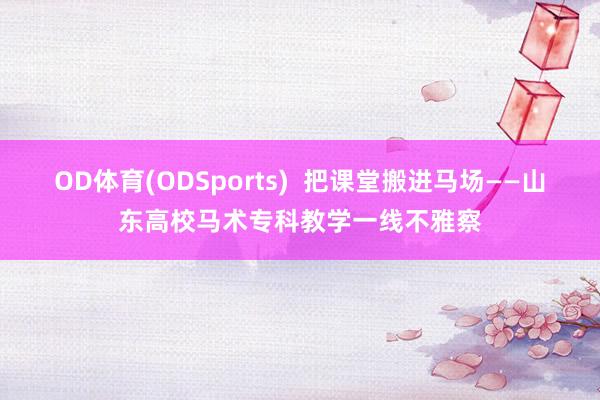 OD体育(ODSports)  把课堂搬进马场——山东高校马术专科教学一线不雅察