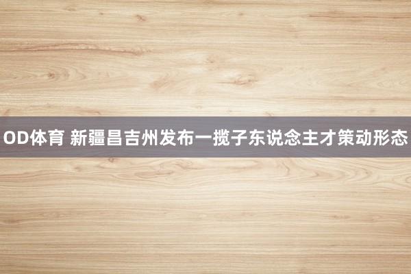 OD体育 新疆昌吉州发布一揽子东说念主才策动形态