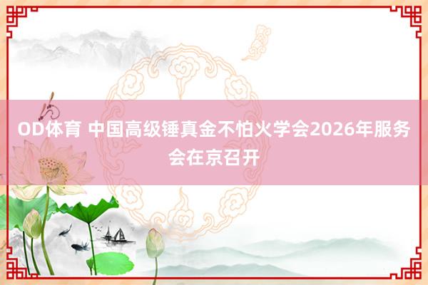 OD体育 中国高级锤真金不怕火学会2026年服务会在京召开