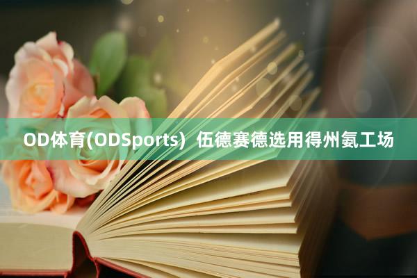OD体育(ODSports)  伍德赛德选用得州氨工场