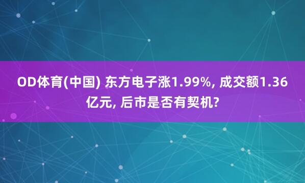 OD体育(中国) 东方电子涨1.99%， 成交额1.36亿元， 后市是否有契机?