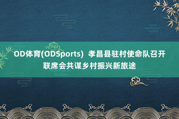 OD体育(ODSports)  孝昌县驻村使命队召开联席会共谋乡村振兴新旅途