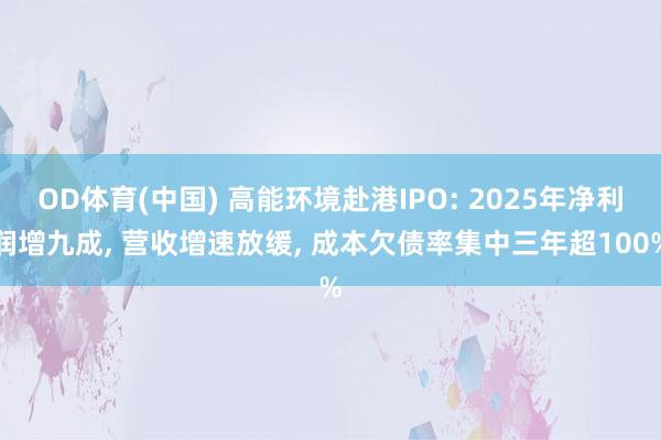 OD体育(中国) 高能环境赴港IPO: 2025年净利润增九成， 营收增速放缓， 成本欠债率集中三年超100%