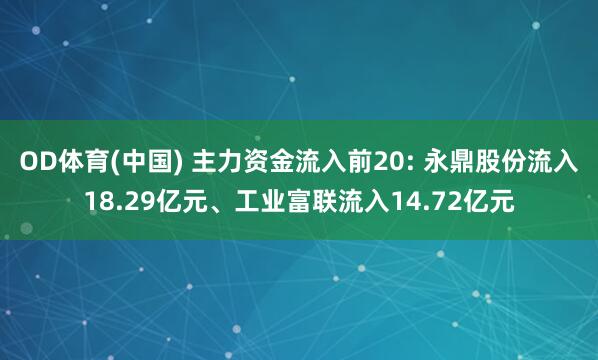 OD体育(中国) 主力资金流入前20: 永鼎股份流入18.29亿元、工业富联流入14.72亿元