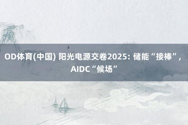 OD体育(中国) 阳光电源交卷2025: 储能“接棒”， AIDC“候场”