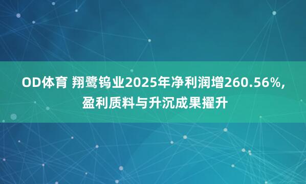 OD体育 翔鹭钨业2025年净利润增260.56%， 盈利质料与升沉成果擢升