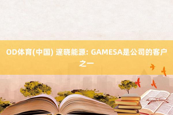 OD体育(中国) 邃晓能源: GAMESA是公司的客户之一