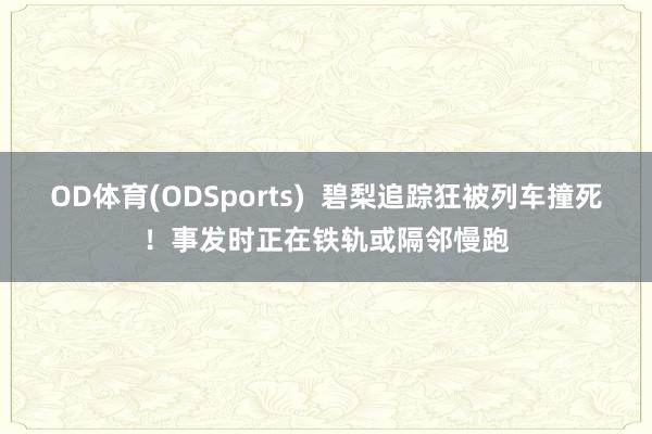 OD体育(ODSports)  碧梨追踪狂被列车撞死！事发时正在铁轨或隔邻慢跑