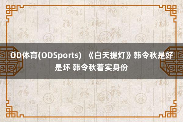 OD体育(ODSports)  《白天提灯》韩令秋是好是坏 韩令秋着实身份