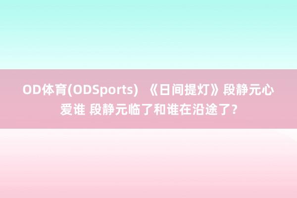 OD体育(ODSports)  《日间提灯》段静元心爱谁 段静元临了和谁在沿途了？