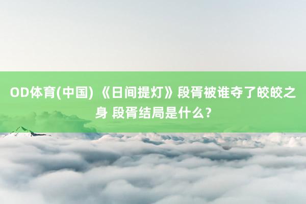 OD体育(中国) 《日间提灯》段胥被谁夺了皎皎之身 段胥结局是什么？