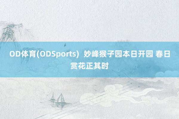 OD体育(ODSports)  妙峰猴子园本日开园 春日赏花正其时
