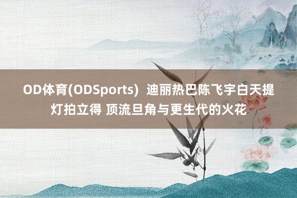 OD体育(ODSports)  迪丽热巴陈飞宇白天提灯拍立得 顶流旦角与更生代的火花
