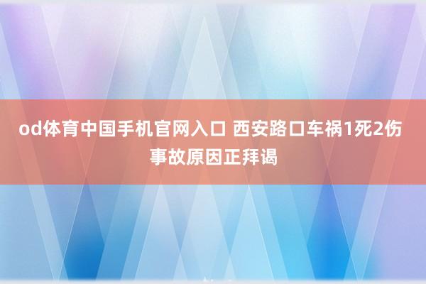 od体育中国手机官网入口 西安路口车祸1死2伤 事故原因正拜谒