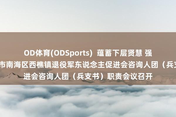 OD体育(ODSports)  蕴蓄下层贤慧 强化组织支抓——佛山市南海区西樵镇退役军东说念主促进会咨询人团（兵支书）职责会议召开