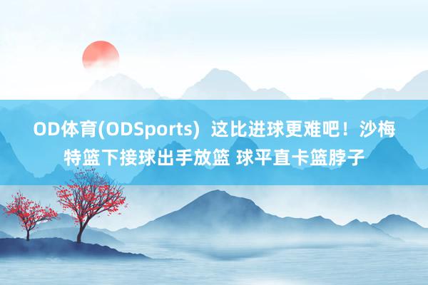 OD体育(ODSports)  这比进球更难吧！沙梅特篮下接球出手放篮 球平直卡篮脖子