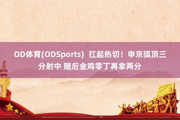 OD体育(ODSports)  扛起热切！申京弧顶三分射中 随后金鸡零丁再拿两分