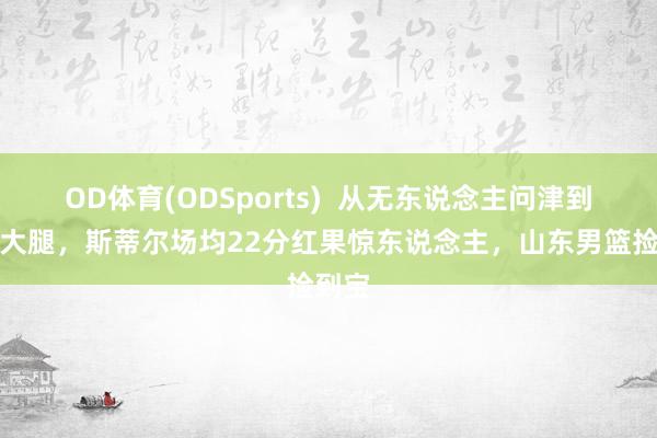 OD体育(ODSports)  从无东说念主问津到球队大腿，斯蒂尔场均22分红果惊东说念主，山东男篮捡到宝