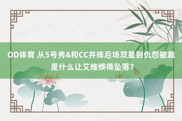 OD体育 从5号秀&和CC并排后场双星到仇怨被裁 是什么让艾维倏得坠落？