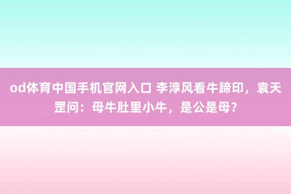 od体育中国手机官网入口 李淳风看牛蹄印，袁天罡问：母牛肚里小牛，是公是母？