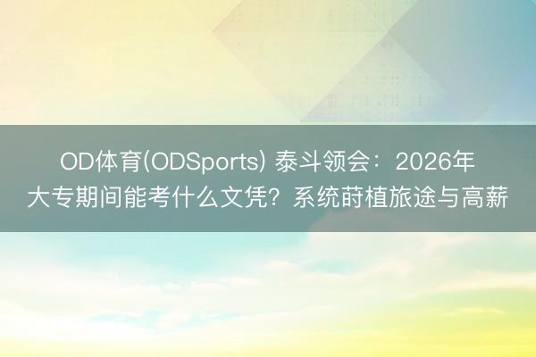OD体育(ODSports) 泰斗领会：2026年大专期间能考什么文凭？系统莳植旅途与高薪
