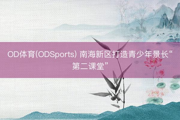 OD体育(ODSports) 南海新区打造青少年景长“第二课堂”