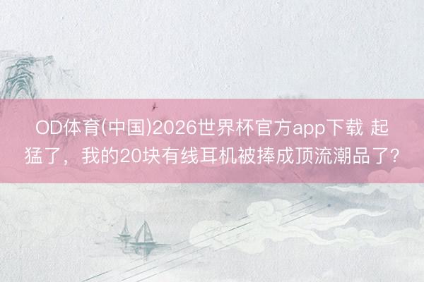 OD体育(中国)2026世界杯官方app下载 起猛了，我的20块有线耳机被捧成顶流潮品了？