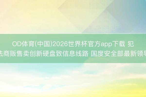 OD体育(中国)2026世界杯官方app下载 犯法商贩售卖创新硬盘致信息线路 国度安全部最新领导