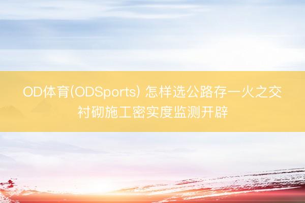 OD体育(ODSports) 怎样选公路存一火之交衬砌施工密实度监测开辟