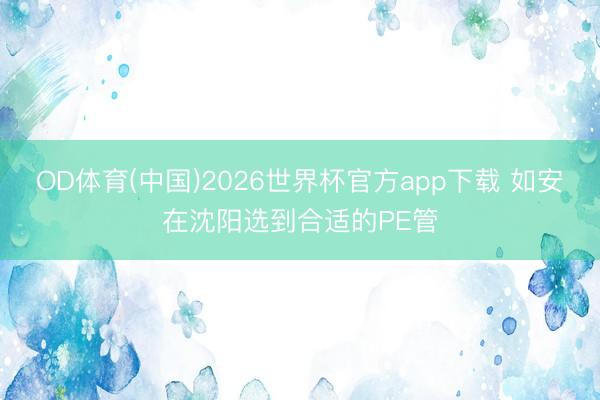 OD体育(中国)2026世界杯官方app下载 如安在沈阳选到合适的PE管