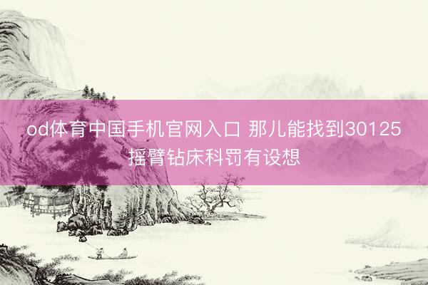 od体育中国手机官网入口 那儿能找到30125摇臂钻床科罚有设想