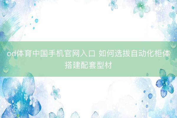 od体育中国手机官网入口 如何选拔自动化柜体搭建配套型材