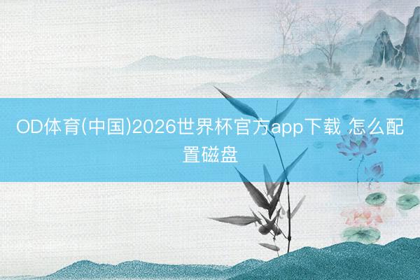 OD体育(中国)2026世界杯官方app下载 怎么配置磁盘
