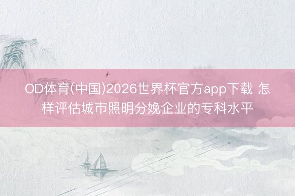 OD体育(中国)2026世界杯官方app下载 怎样评估城市照明分娩企业的专科水平