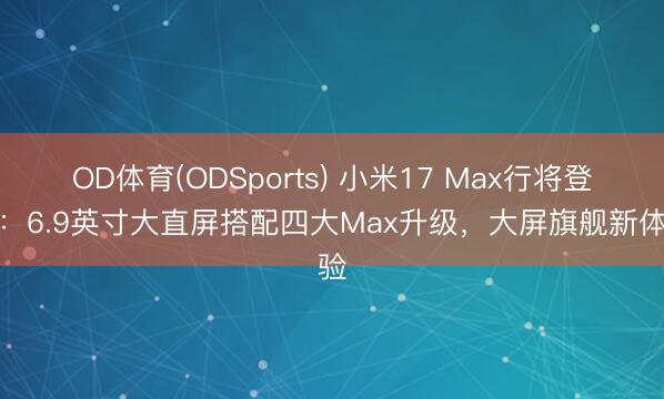 OD体育(ODSports) 小米17 Max行将登场：6.9英寸大直屏搭配四大Max升级，大屏旗舰新体验