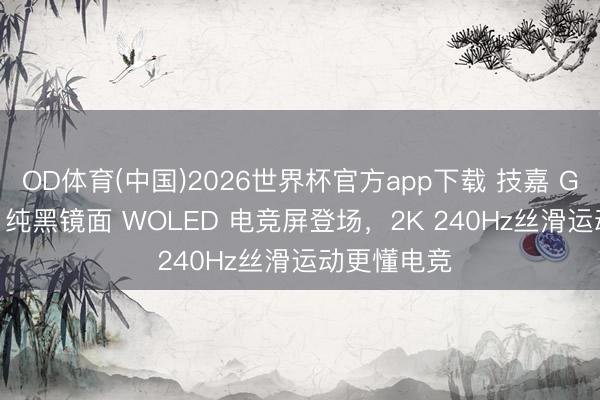 OD体育(中国)2026世界杯官方app下载 技嘉 GO27Q24G 纯黑镜面 WOLED 电竞屏登场,2K 240Hz丝滑运动更懂电竞