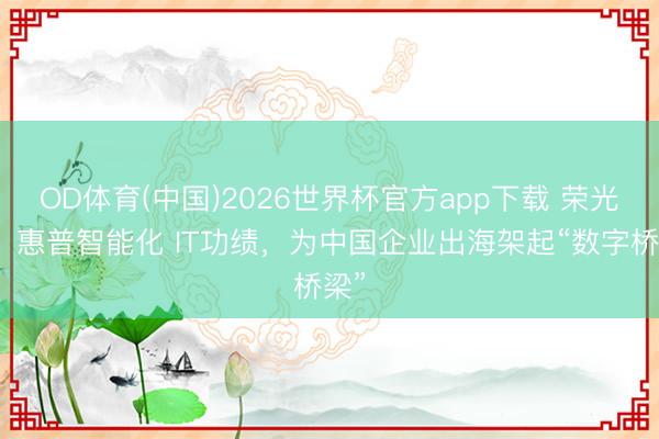 OD体育(中国)2026世界杯官方app下载 荣光宇:惠普智能化 IT功绩,为中国企业出海架起“数字桥梁”