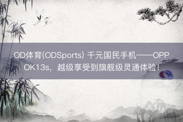 OD体育(ODSports) 千元国民手机——OPPOK13s，越级享受到旗舰级灵通体验！