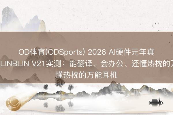 OD体育(ODSports) 2026 AI硬件元年真香款｜BLINBLIN V21实测：能翻译、会办公、还懂热枕的万能耳机