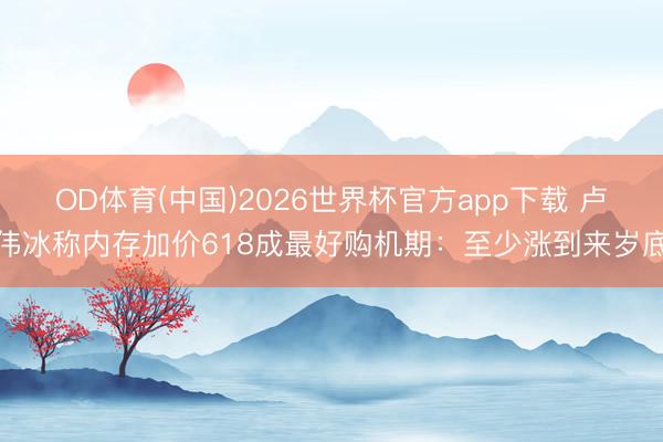 OD体育(中国)2026世界杯官方app下载 卢伟冰称内存加价618成最好购机期：至少涨到来岁底