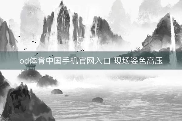 od体育中国手机官网入口 现场姿色高压