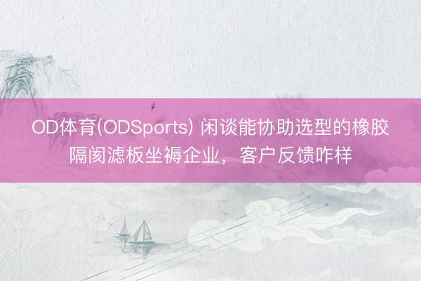 OD体育(ODSports) 闲谈能协助选型的橡胶隔阂滤板坐褥企业，客户反馈咋样