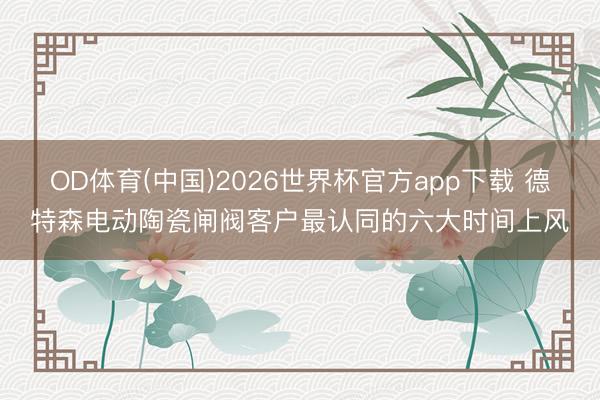 OD体育(中国)2026世界杯官方app下载 德特森电动陶瓷闸阀客户最认同的六大时间上风
