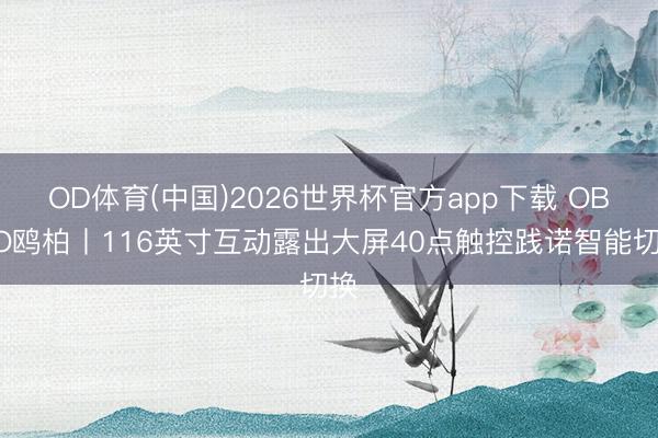 OD体育(中国)2026世界杯官方app下载 OBOO鸥柏丨116英寸互动露出大屏40点触控践诺智能切换