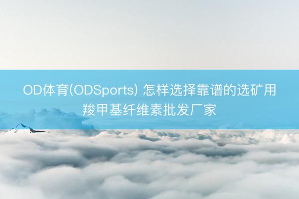OD体育(ODSports) 怎样选择靠谱的选矿用羧甲基纤维素批发厂家